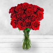 18 Red Roses