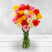 24 Mixed Rose Bouquet