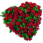 Carnation Heart 12