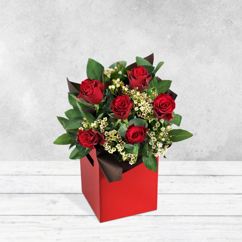 Valentine's Day Gift