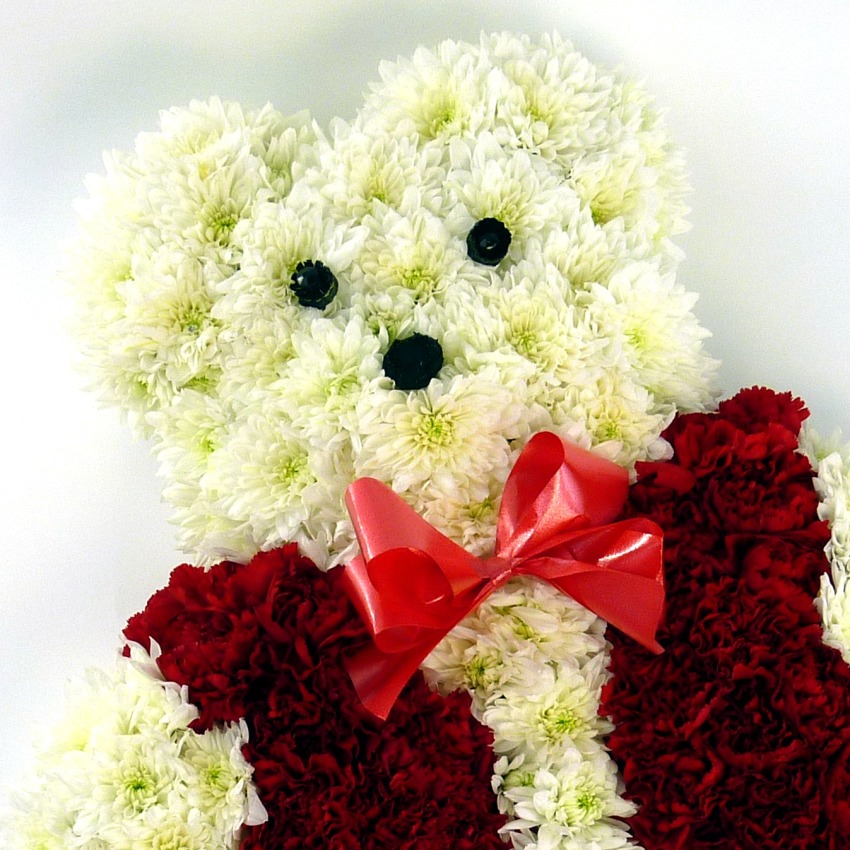 Teddy Bear Tribute