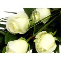 Elegant Rose Sheaf - 6 stem